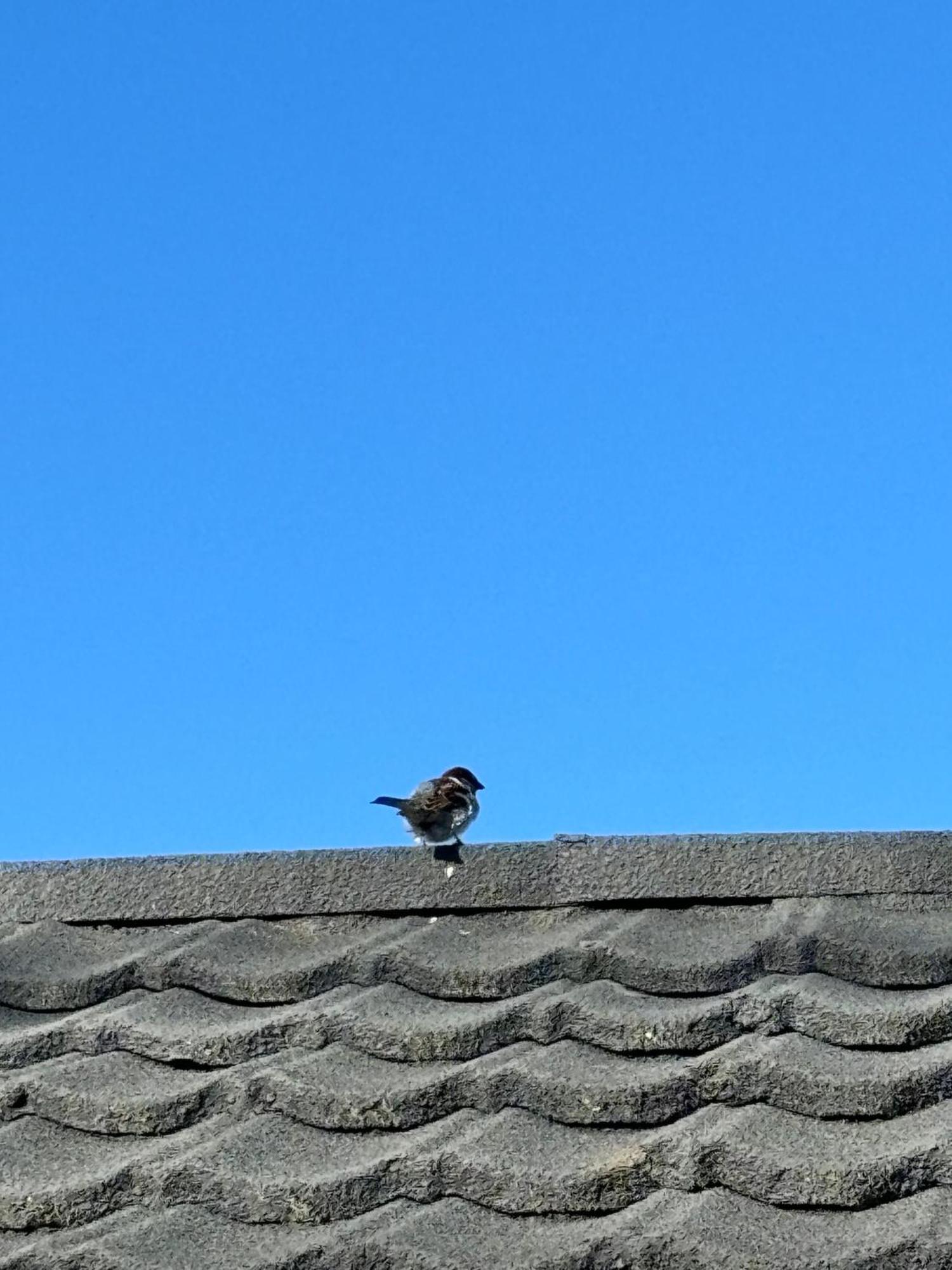 Kowhai Motel Rotorua Zewnętrze zdjęcie